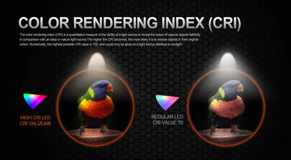 Small Rechargeable Pocket LED Flashlight 1000 Lumens for Everyday Carry